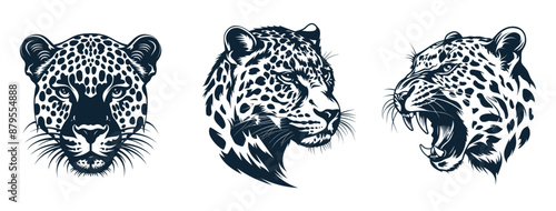 Black and white leopard head set. Front view. Side view. With closed and opened mouth. Wild feline preditor logo. Safari animal. Isolated vecor clipart on white background