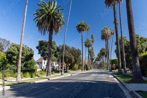 Beverly Hills street with tall palm trees