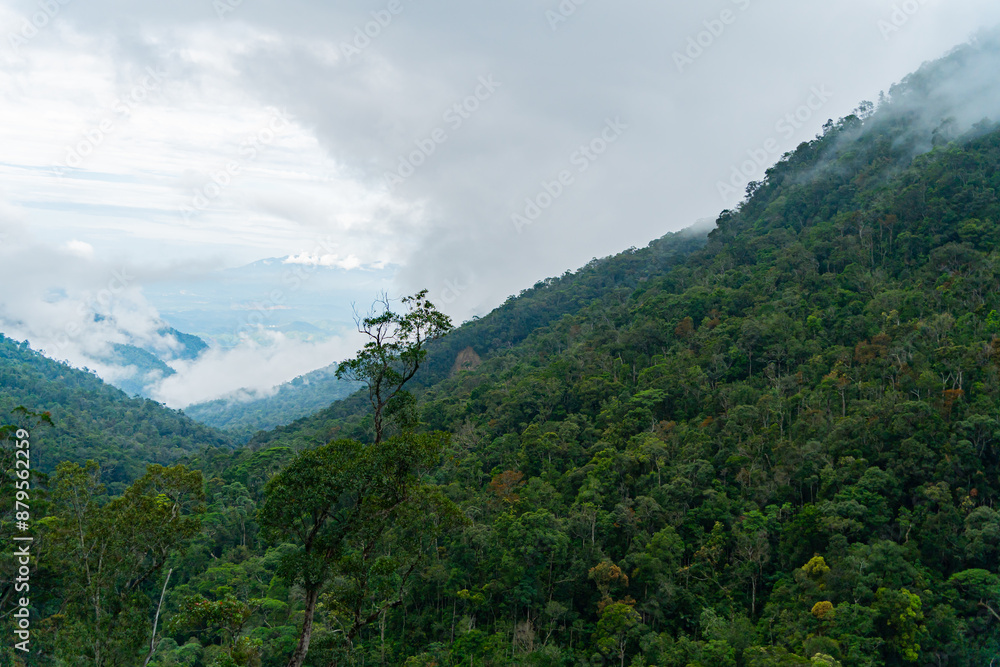 High-altitude landscape.
Highlands, the road to Dalat in Vietnam. High-altitude landscape.
Highlands, the road to Dalat in Vietnam.
