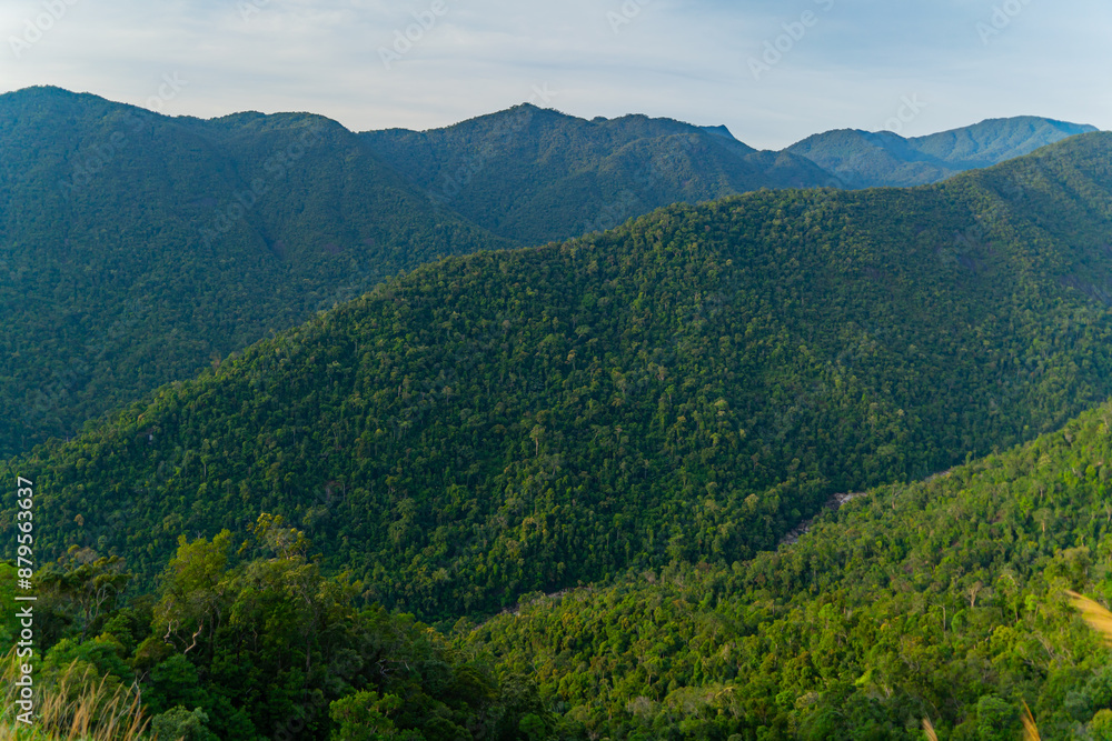 High-altitude landscape.
Highlands, the road to Dalat in Vietnam. High-altitude landscape.
Highlands, the road to Dalat in Vietnam.