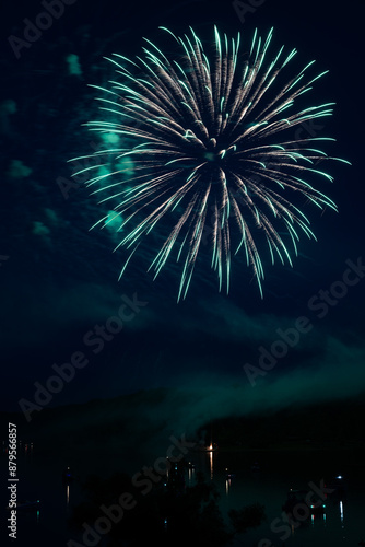  Beautiful fireworks in the night sky #37