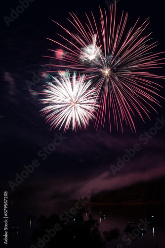  Beautiful fireworks in the night sky #35 