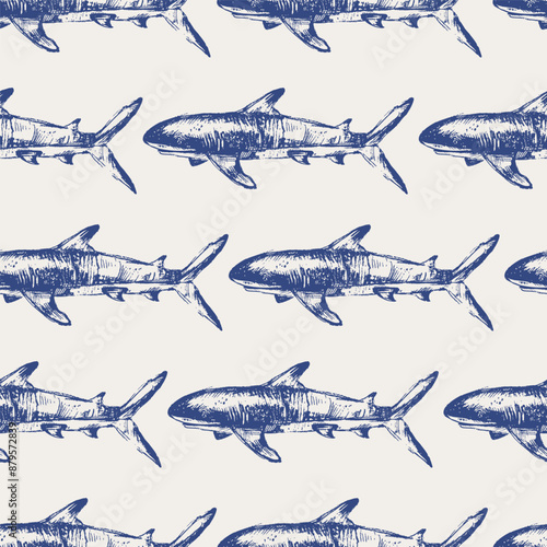 Vector sea animals seamless pattern. Ocean shark in blue on white