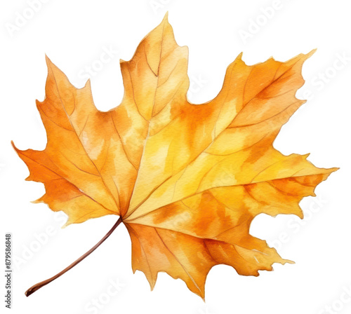 Wallpaper Mural PNG Plant leaf tree fragility. Torontodigital.ca