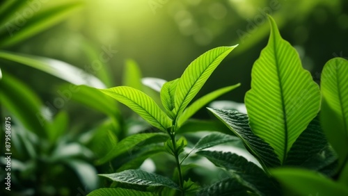  Vibrant life in the lush greenery