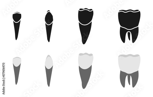 tooth or teeth icon set vector illustration isolated on white background.
