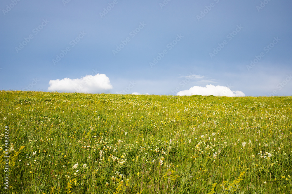 summer landscape with green meadow and blue sky summer landscape with green meadow and blue sky