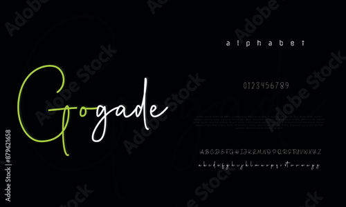 Signature Font Calligraphy Logotype Script Brush Font Type Font lettering handwritten