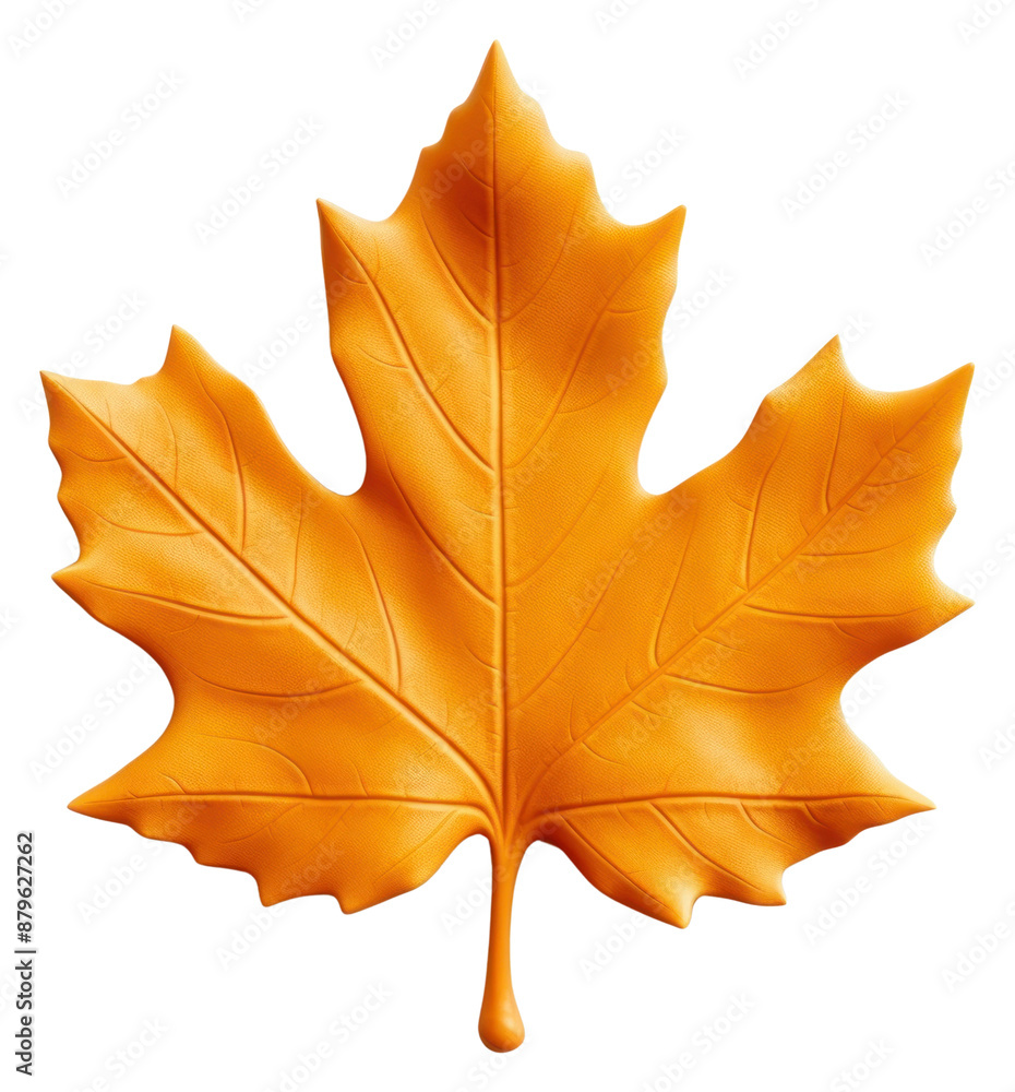 Fototapeta premium PNG Maple leaf plant tree white background.