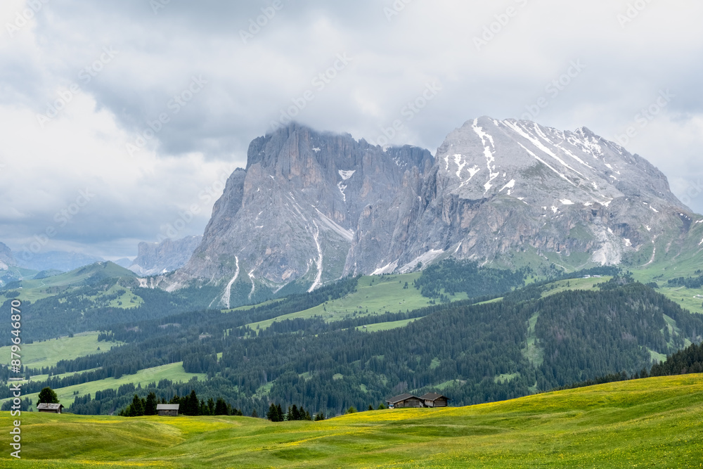 Obraz premium Seiser Alm - Wanderparadies in den Südtiroler Dolomiten. Saftig grüne Wiesen mit urigen Hütten umringt vor schroffen Berggipfeln auf der größten Hochalm Europas.