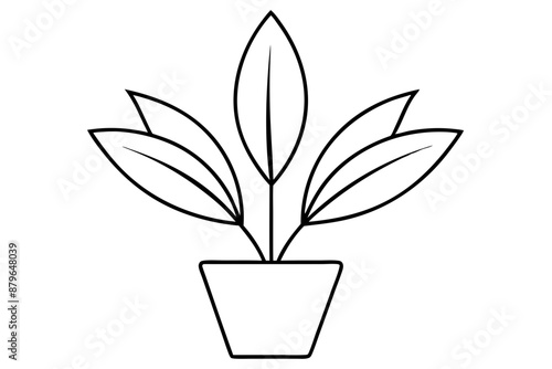 a minimalist plant silhouette vector illustration