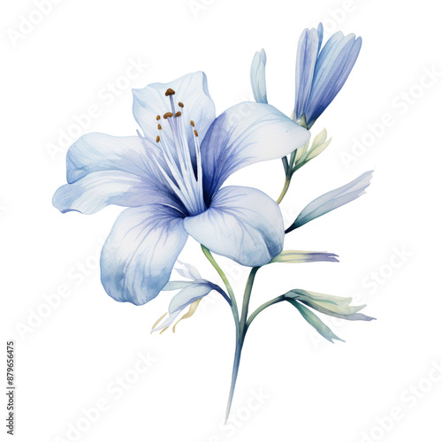 lily of the valley watercolor isolated on transparent background cutout