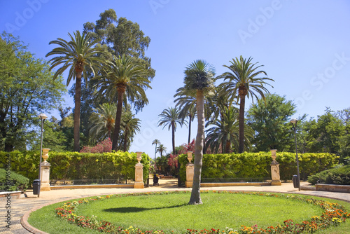 View of Murillo Gardens in summer sunny day in Seville, Spain