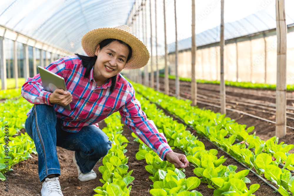 Obraz premium Modern smart female Asian farmer with tablet working in salad lettuce plants in greenhouse