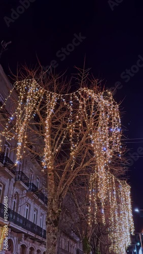 Winter Night Lights Draping Over Bare Tree Branches