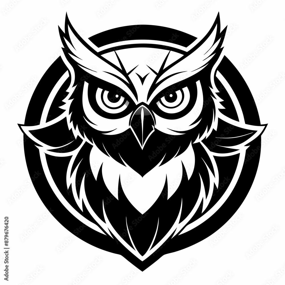 Fototapeta premium owl vector and illustration
