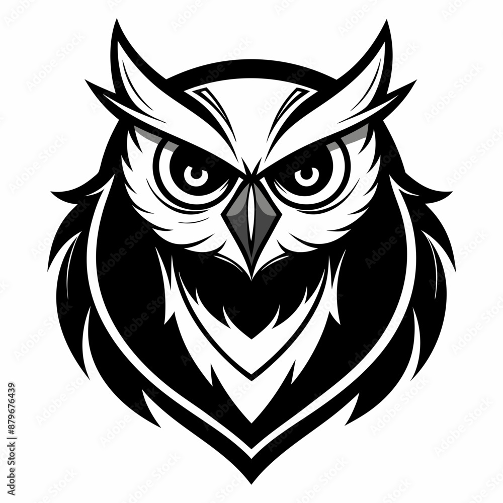 Obraz premium owl vector and illustration