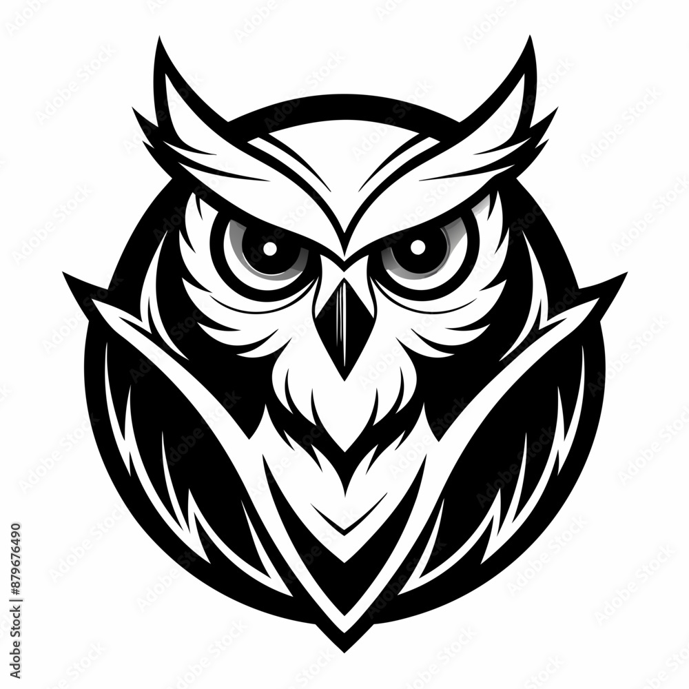 Obraz premium owl vector and illustration
