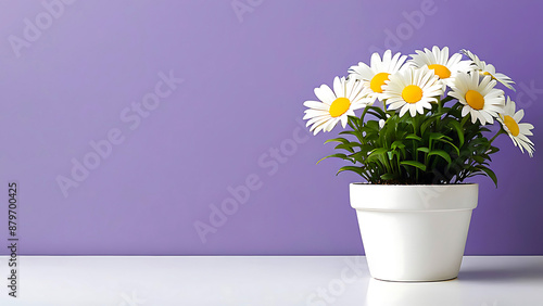 Wallpaper Mural  Colorful flowers, in white pot , minimalist plan pot full of colorful flowers in pots and containers, selective focus Torontodigital.ca