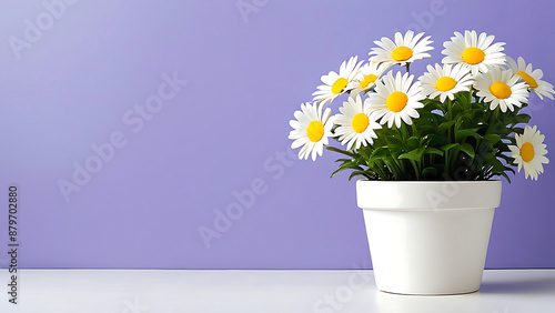 Wallpaper Mural  Colorful flowers, in white pot , minimalist plan pot full of colorful flowers in pots and containers, selective focus Torontodigital.ca