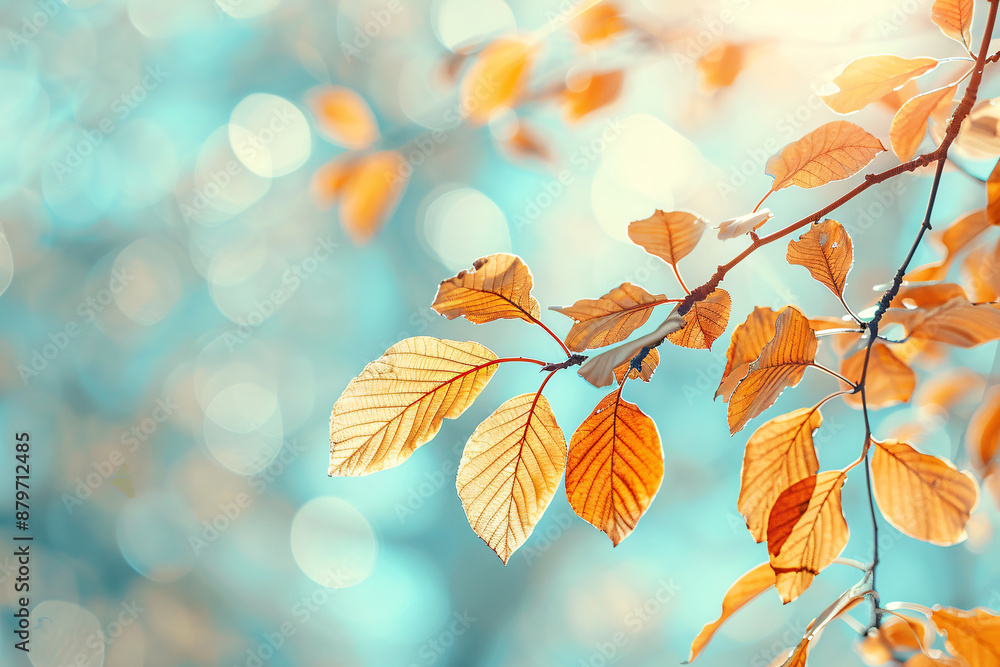 Colorful autumn leaves on a tree branch with a blurred turquoise background, evoking a sense of tranquility and beauty of nature's changing seasons. Colorful autumn leaves on a tree branch with a blurred turquoise background, evoking a sense of tranquility and beauty of nature's changing seasons.
