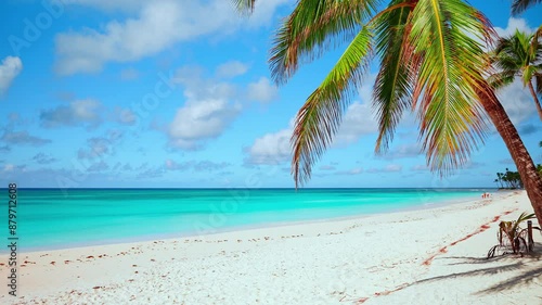 Sunny early morning on a tropical beach with palm trees on the Caribbean coast. Sea waves on a wild sandy shore. The best place for vacation. Travel and summer holiday concept.