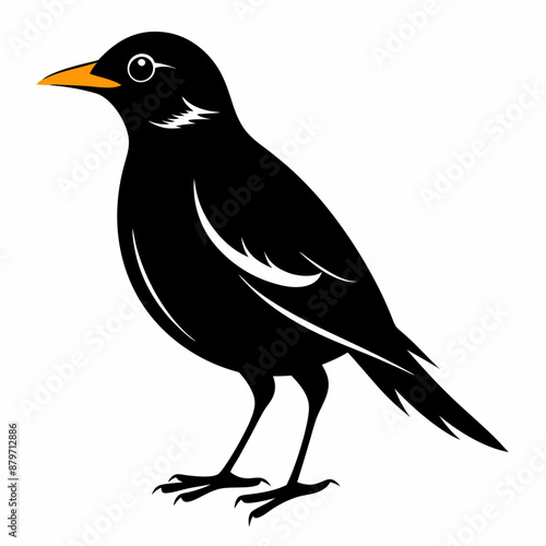 Myna Black silhouette