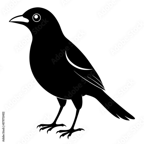 Myna Black silhouette