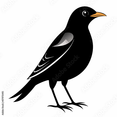 Myna Black silhouette