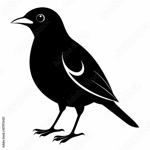 Myna Black silhouette