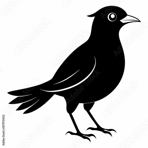 Myna Black silhouette