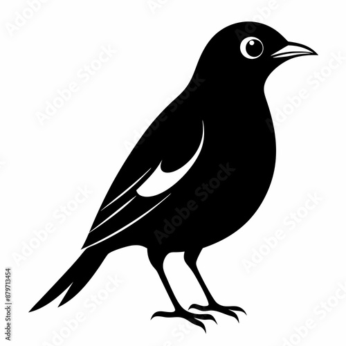 Myna Black silhouette