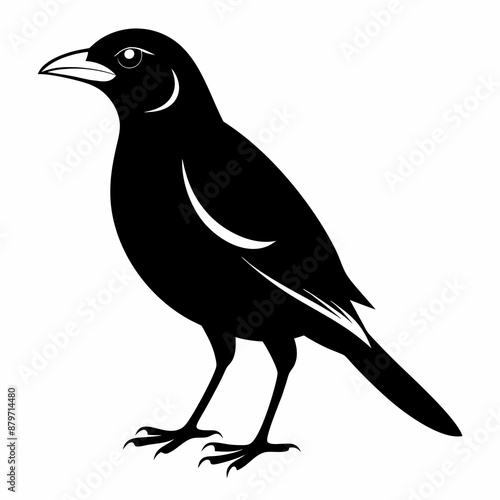 Myna Black silhouette