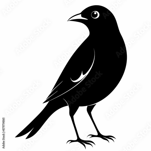 Myna Black silhouette