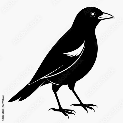 Myna Black silhouette