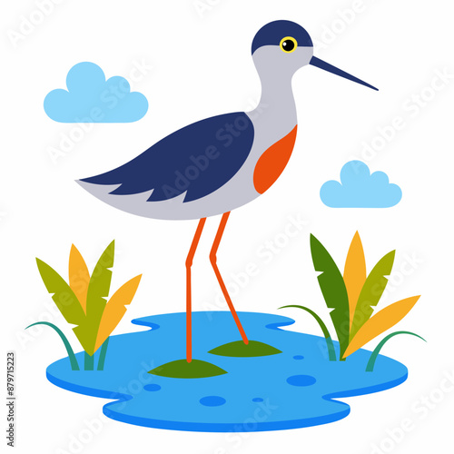 Sandpiper on water and plants white background