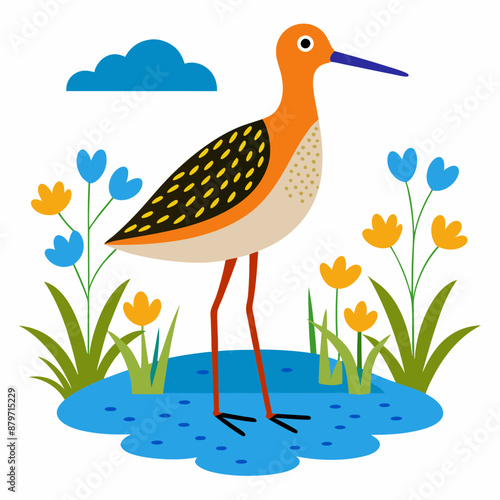 Sandpiper on water and plants white background