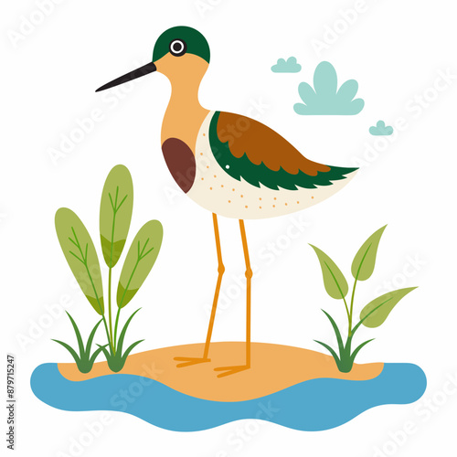 Sandpiper on water and plants white background