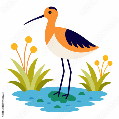 Sandpiper on water and plants white background