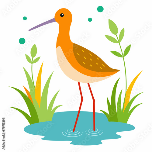 Sandpiper on water and plants white background