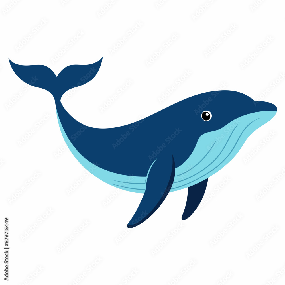 Fototapeta premium Humpback blue whale vector illustration