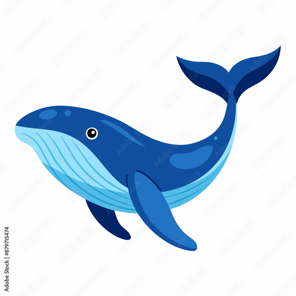 Obraz premium Humpback blue whale vector illustration