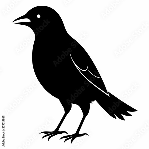 Myna Black silhouette