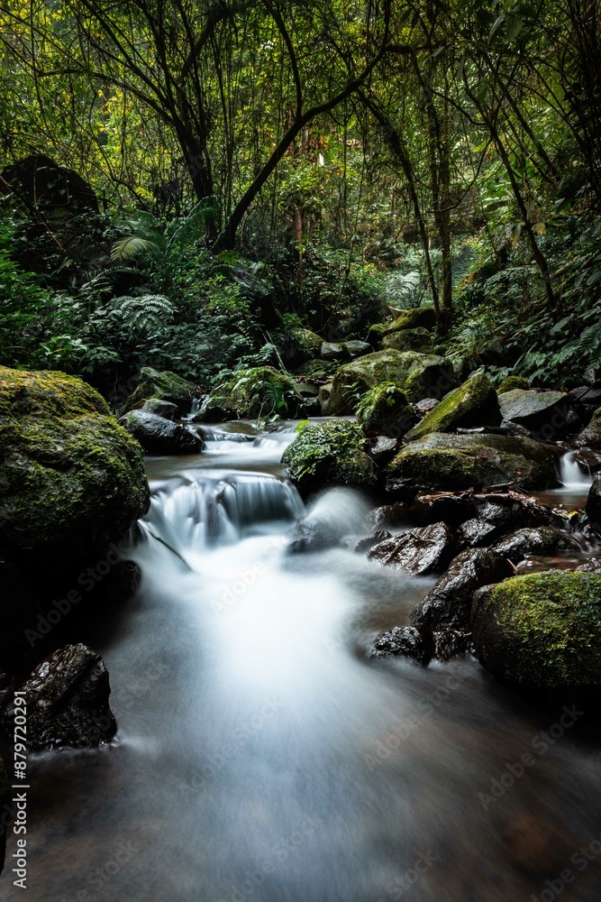 A tranquil forest stream flows over mossy rocks, surrounded by lush greenery. The long exposure creates a smooth, silky water effect, capturing the serene beauty and peaceful atmosphere of nature. A tranquil forest stream flows over mossy rocks, surrounded by lush greenery. The long exposure creates a smooth, silky water effect, capturing the serene beauty and peaceful atmosphere of nature.