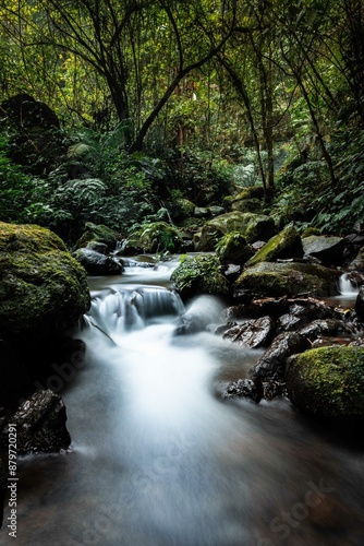 A tranquil forest stream flows over mossy rocks, surrounded by lush greenery. The long exposure creates a smooth, silky water effect, capturing the serene beauty and peaceful atmosphere of nature.