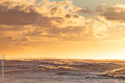 camargue_piemanson_dsc_2185