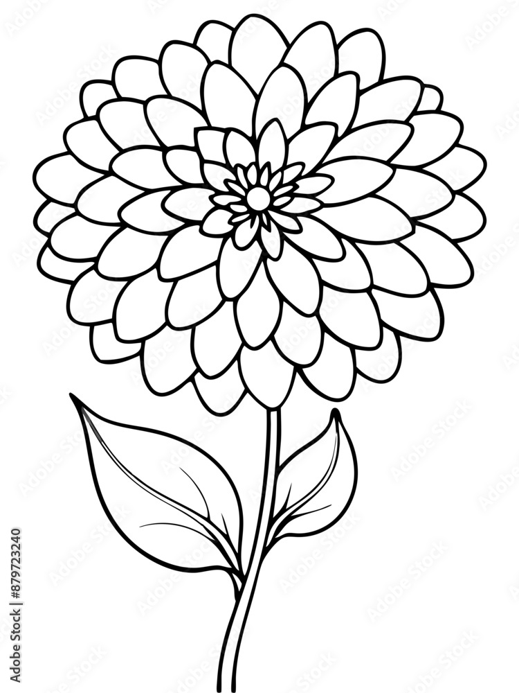 Line art of Zinnia flower Line art of Zinnia flower