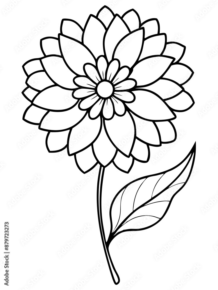 Line art of Zinnia flower Line art of Zinnia flower