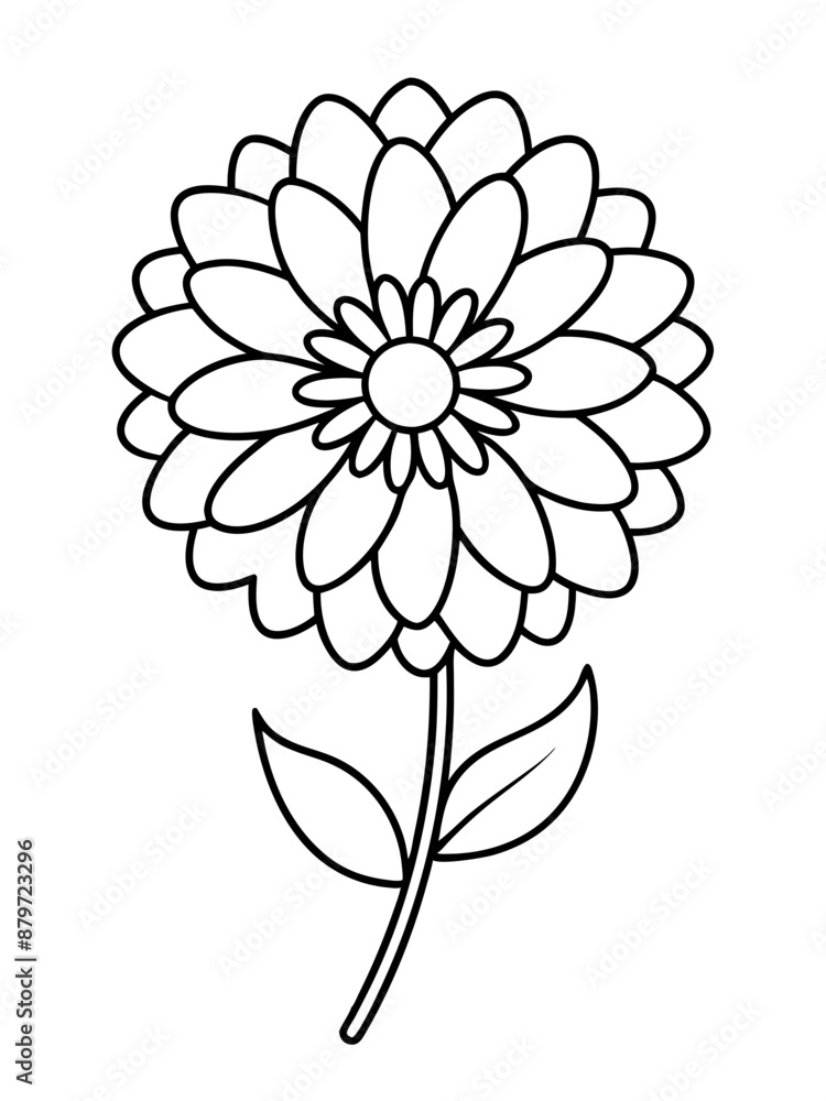 Line art of Zinnia flower Line art of Zinnia flower