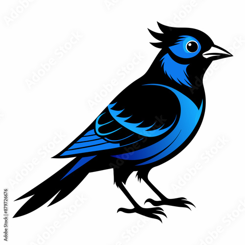 Black Blue Jay silhouette